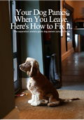 Your Dog Panics When You Leave. Here's How to Fix It.