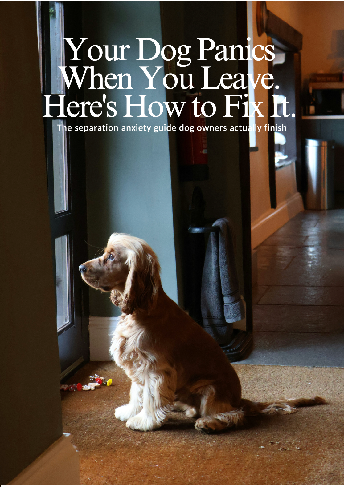 Your Dog Panics When You Leave. Here's How to Fix It.