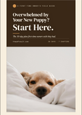 The 30-Day Puppy Training Guide