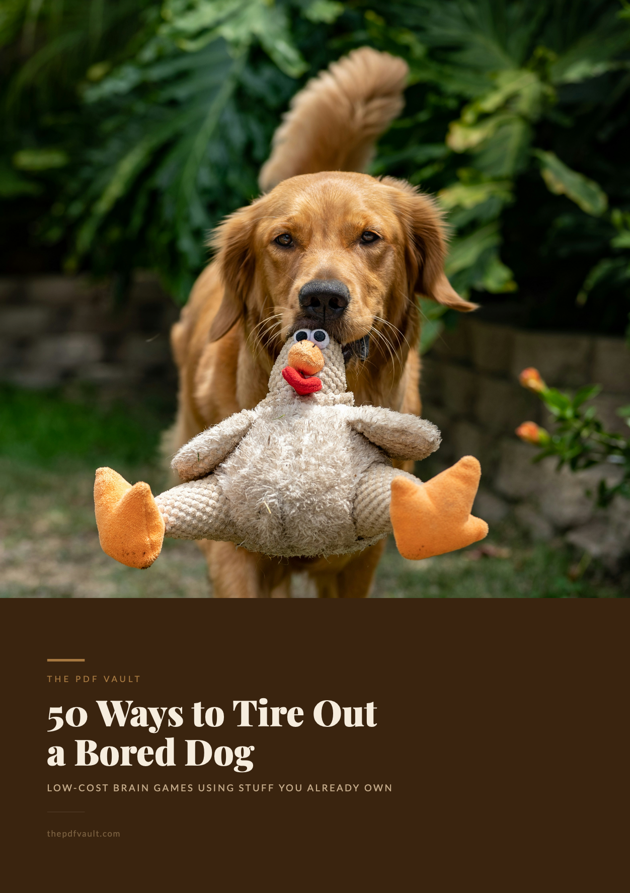 50 Ways to Tire Out a Bored Dog
