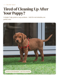 The 3-Day Potty Training Kickstart