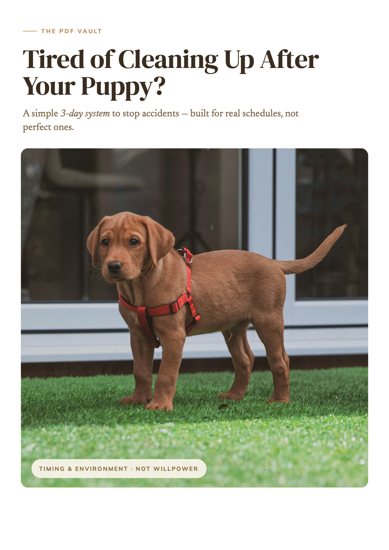 The 3-Day Potty Training Kickstart