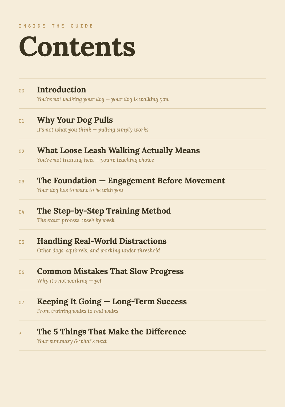 Stop the Pull — Loose Leash Walking Guide
