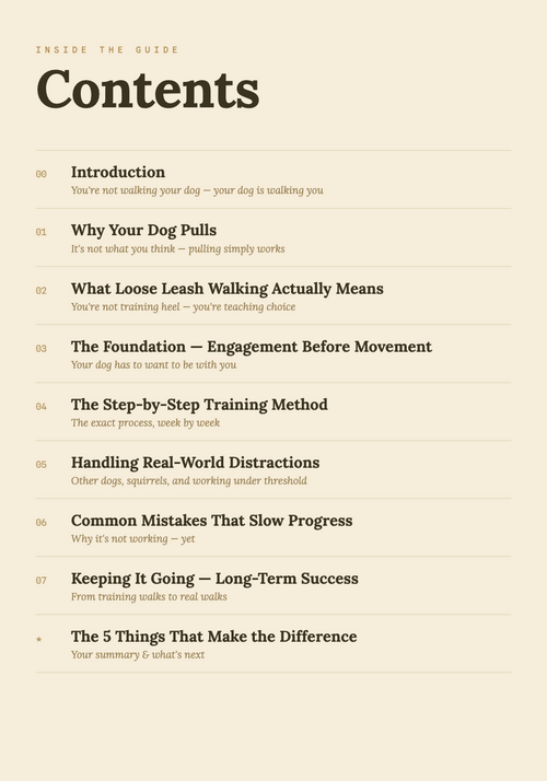 Stop the Pull — Loose Leash Walking Guide